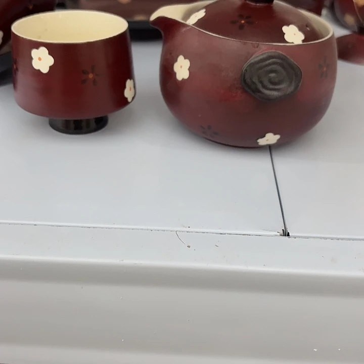 呢染色体我哦普普通通天