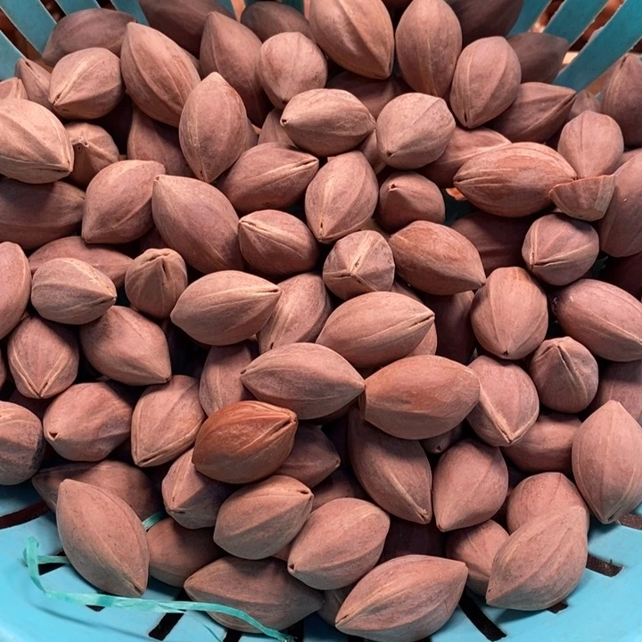 吊坠橄榄核清*欢我們都