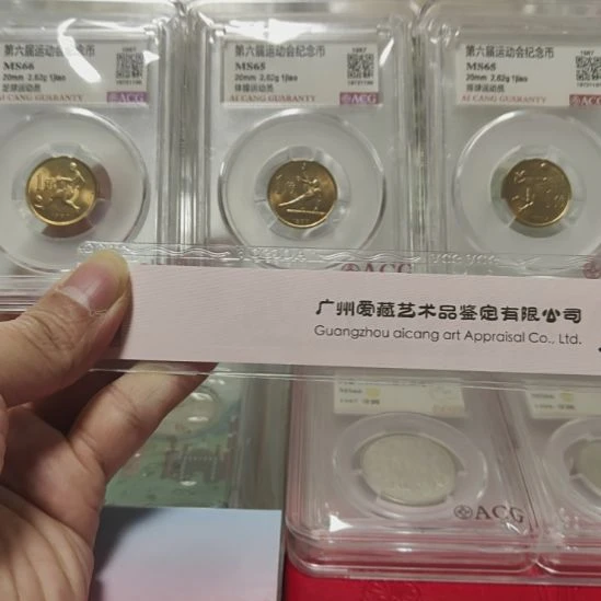 六运会评级福利一套