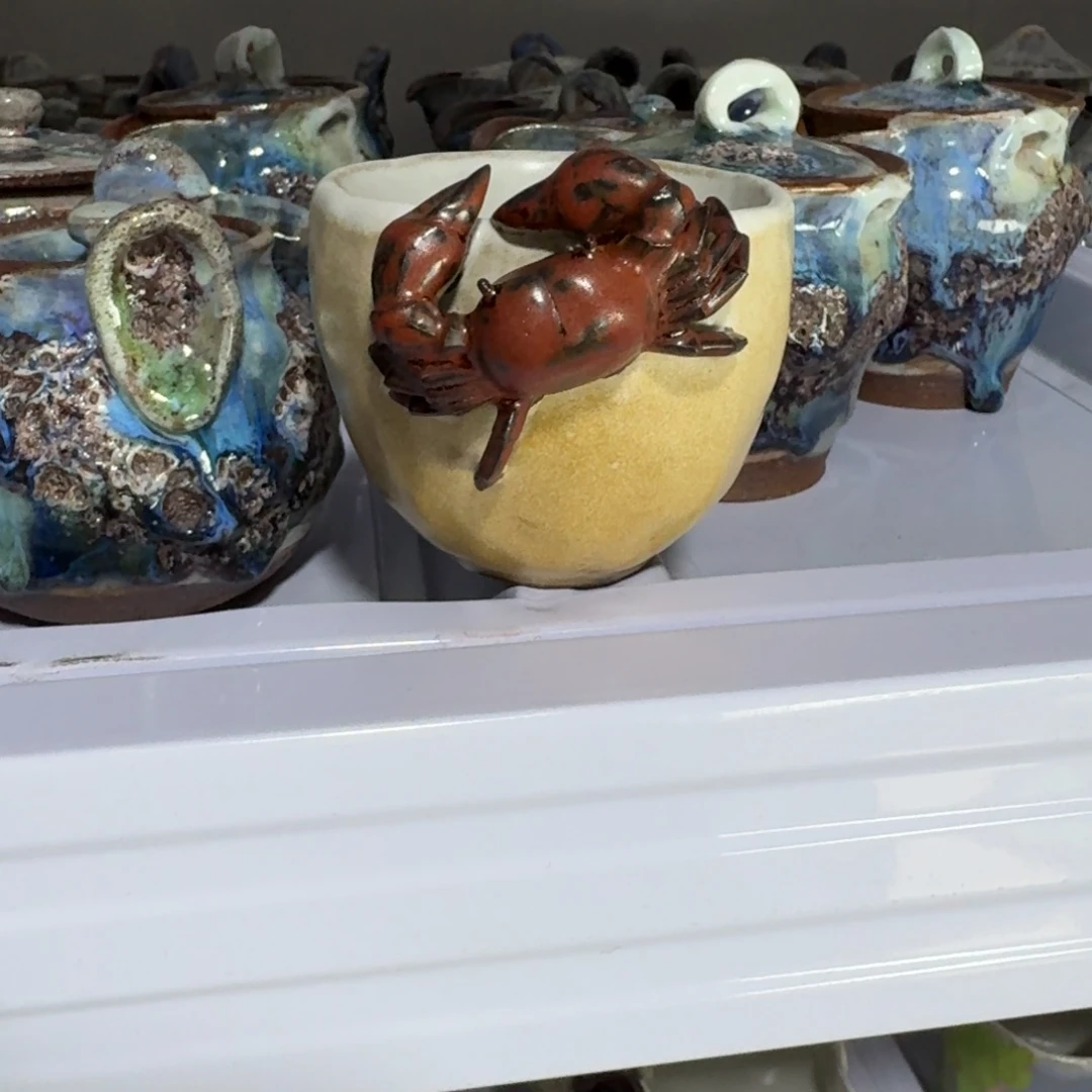 元旦回馈！福利专场！