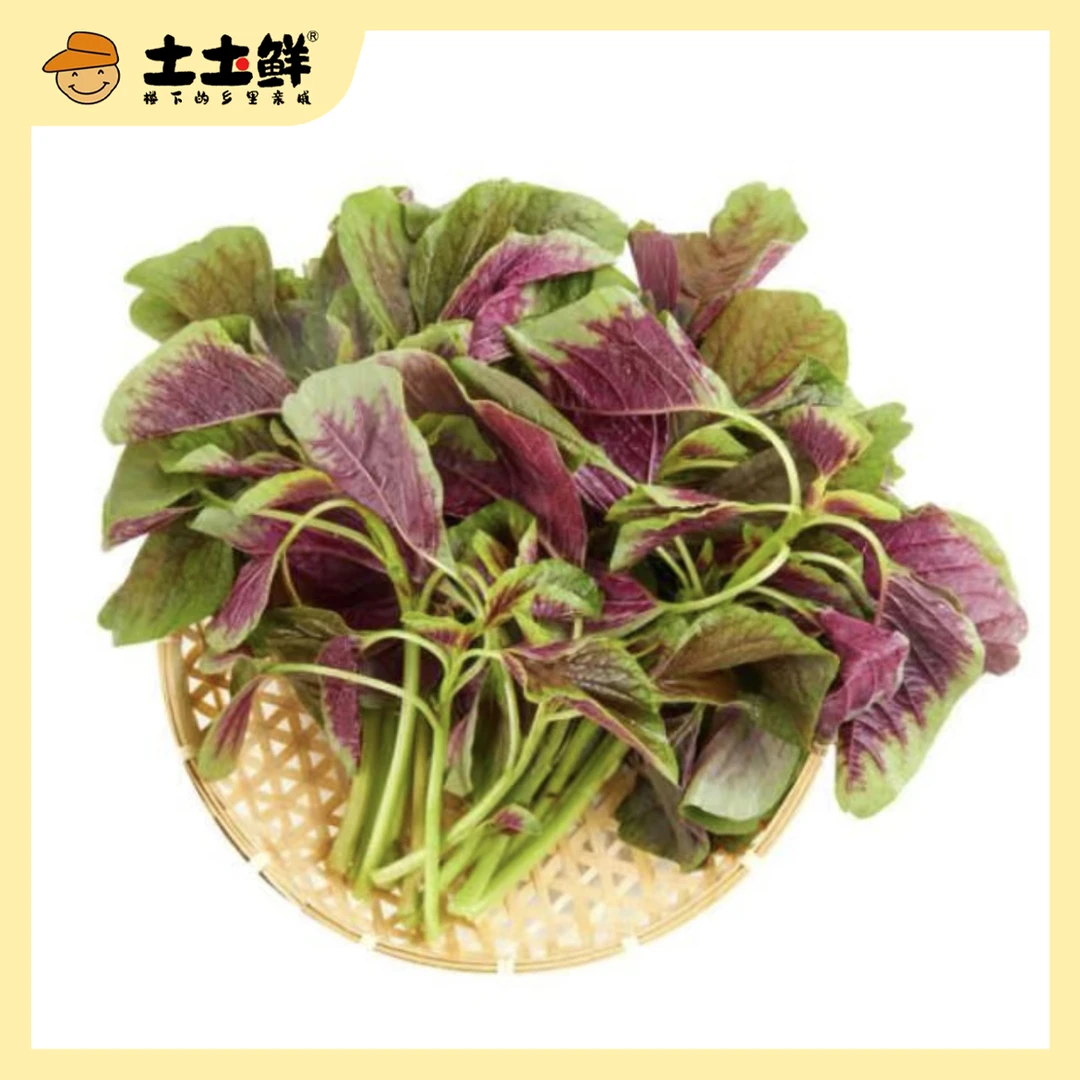 红苋菜450g-500g