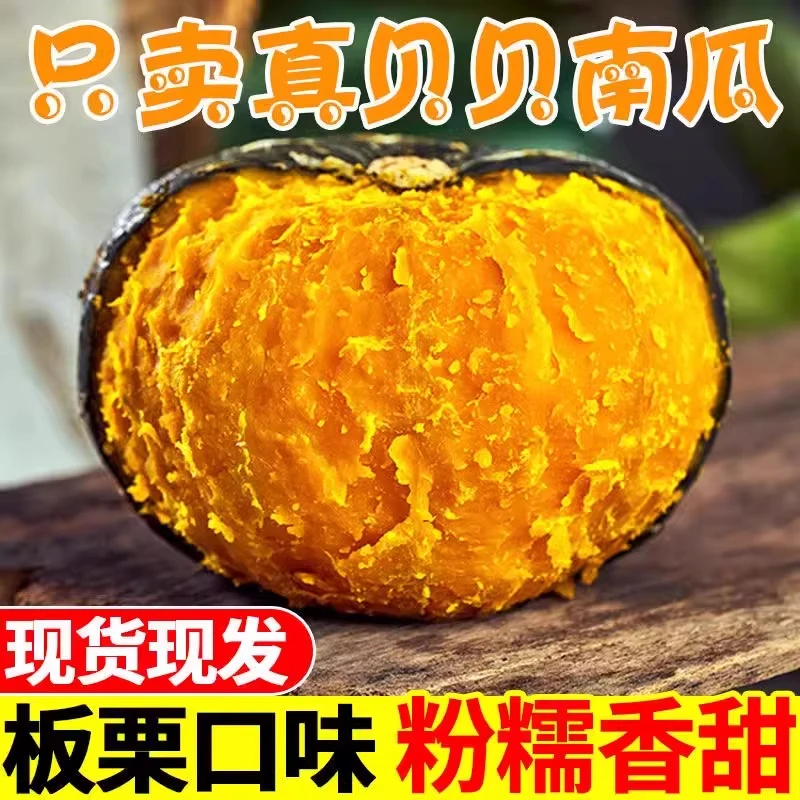 正宗真贝贝南瓜软糯香甜宝宝辅食板栗口感老人孩子代餐