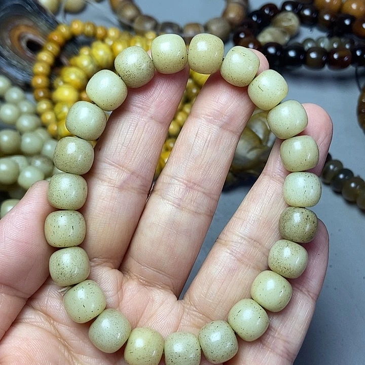 大果紫檀（缅甸花梨）