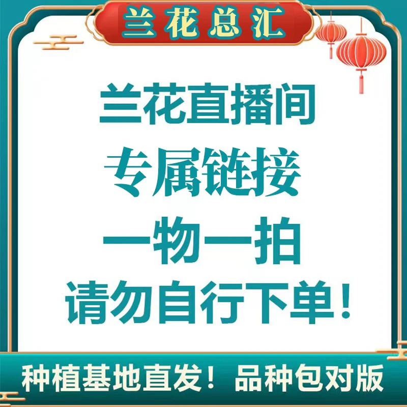 兰花一物一拍专用