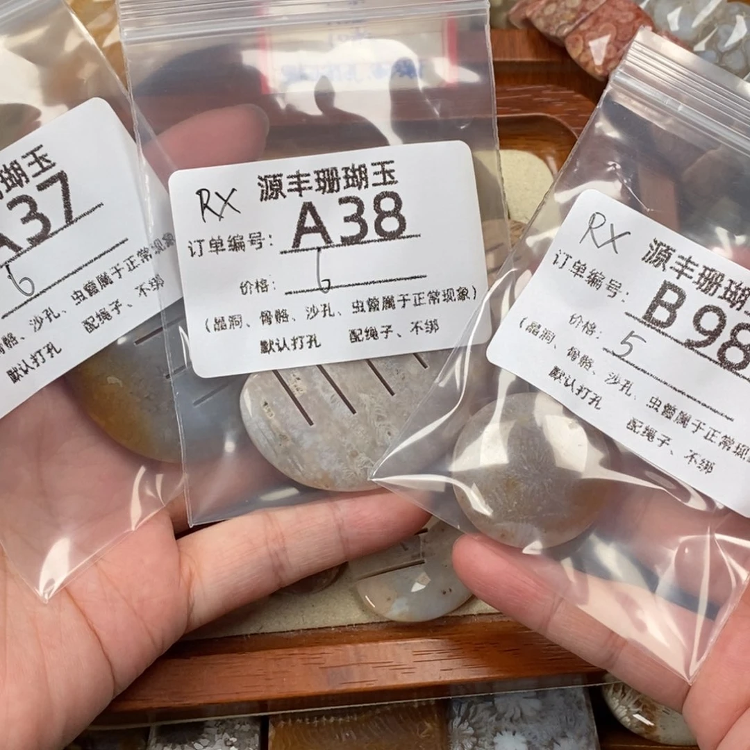R***X未镶嵌颈饰硅化玉