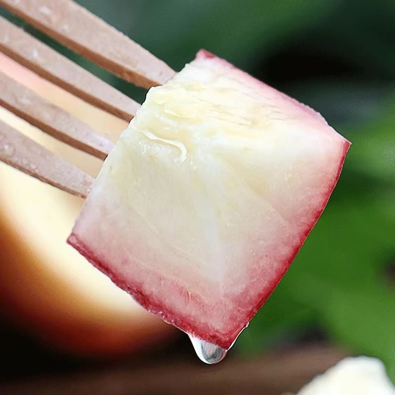 现摘现发清香脆甜水蜜桃应季新鲜水果脆软两吃