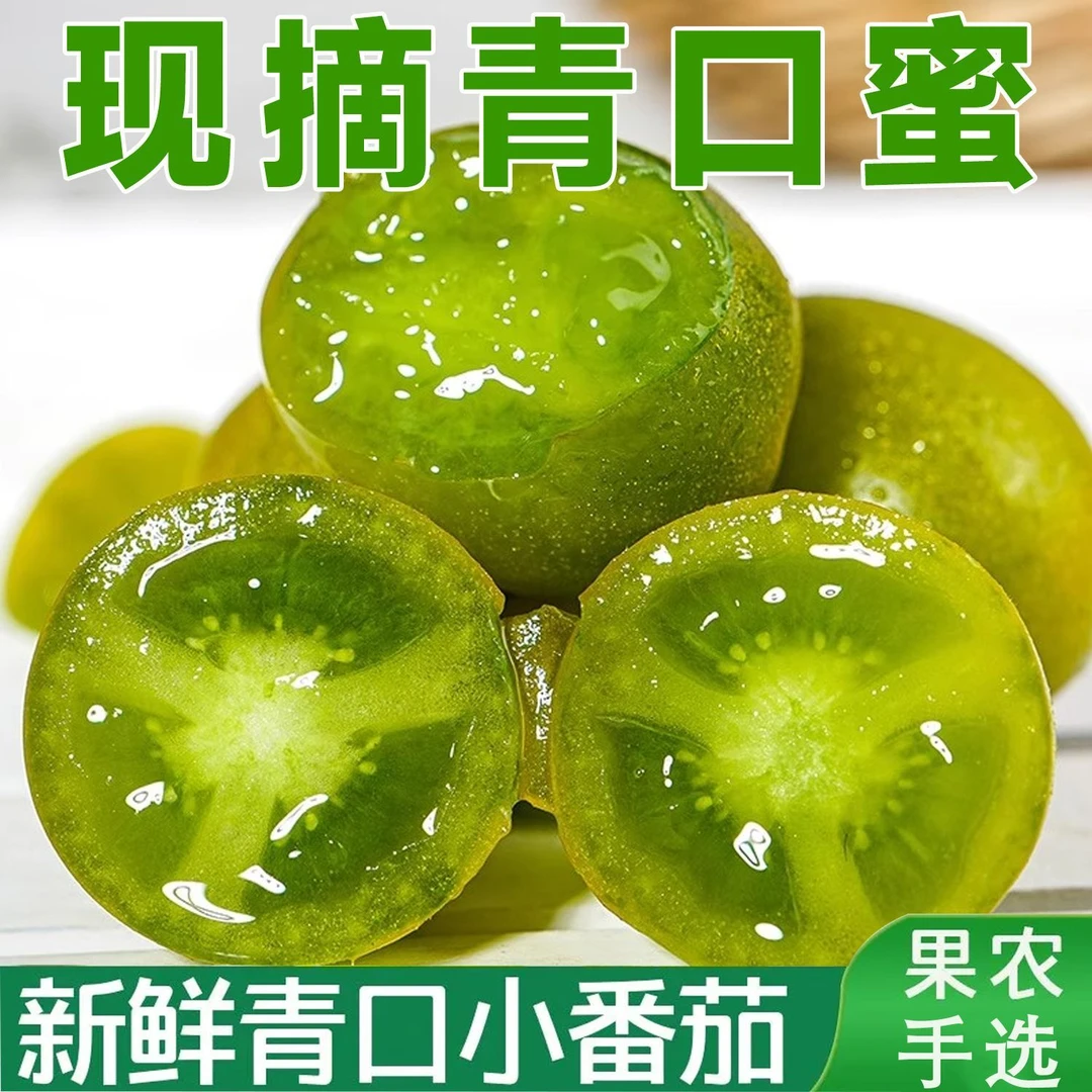 山东正宗清甜二号小番茄新鲜采摘产地直发坏果包赔孕妇解馋水果