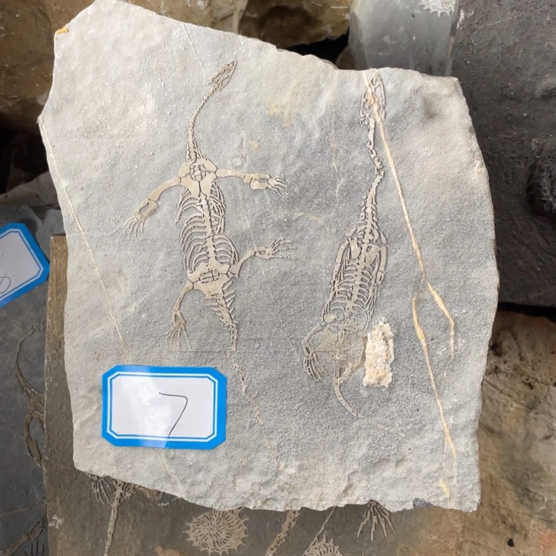 石材7777777777777777777