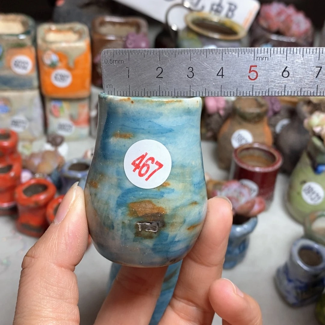 花盆拍5送一个小礼物