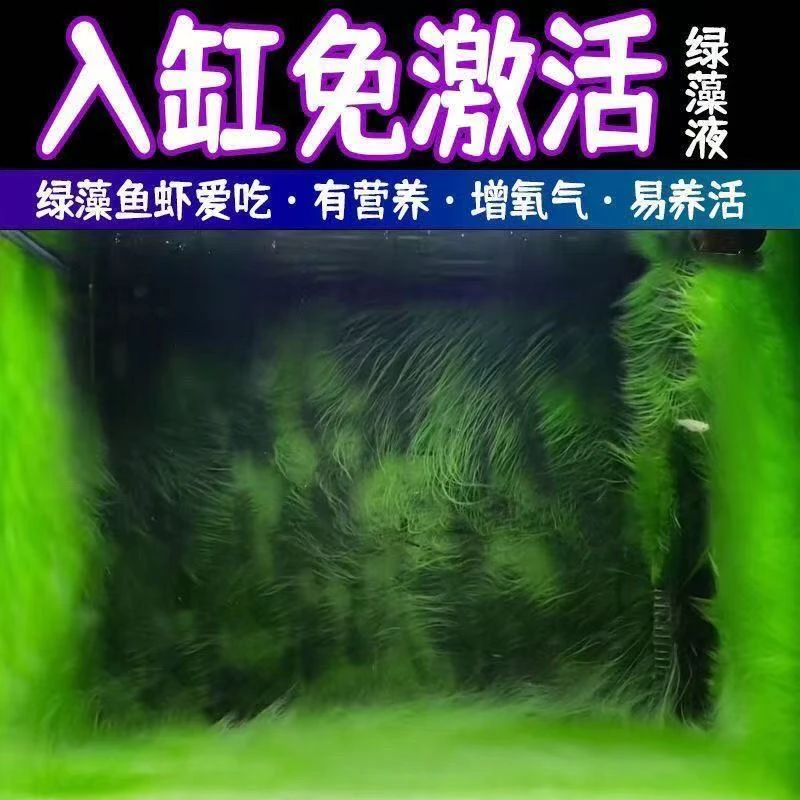长绒水草藻种鱼缸造景绿毛地毯小球藻液