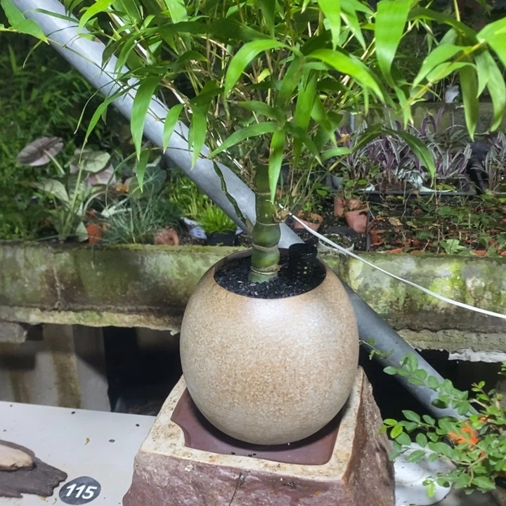 ᝰ****࿐退款拉黑一物一拍171