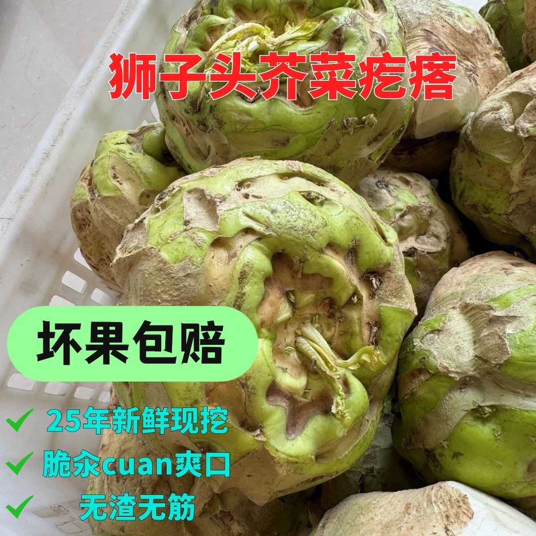 25年新鲜辣芥菜疙瘩现挖河南登封汆味狮子头农家大头菜辣菜腌制菜