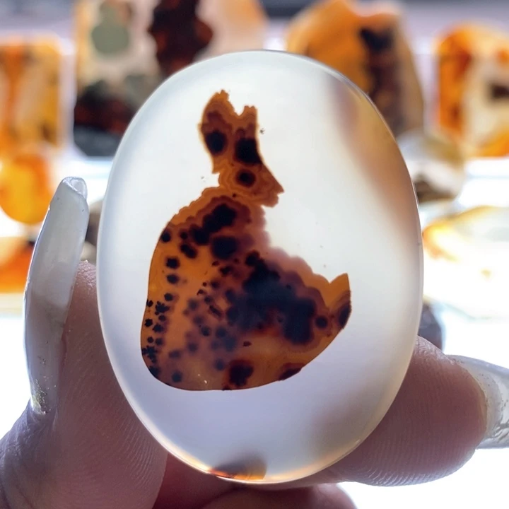 玛瑙/玉髓颈饰未镶嵌