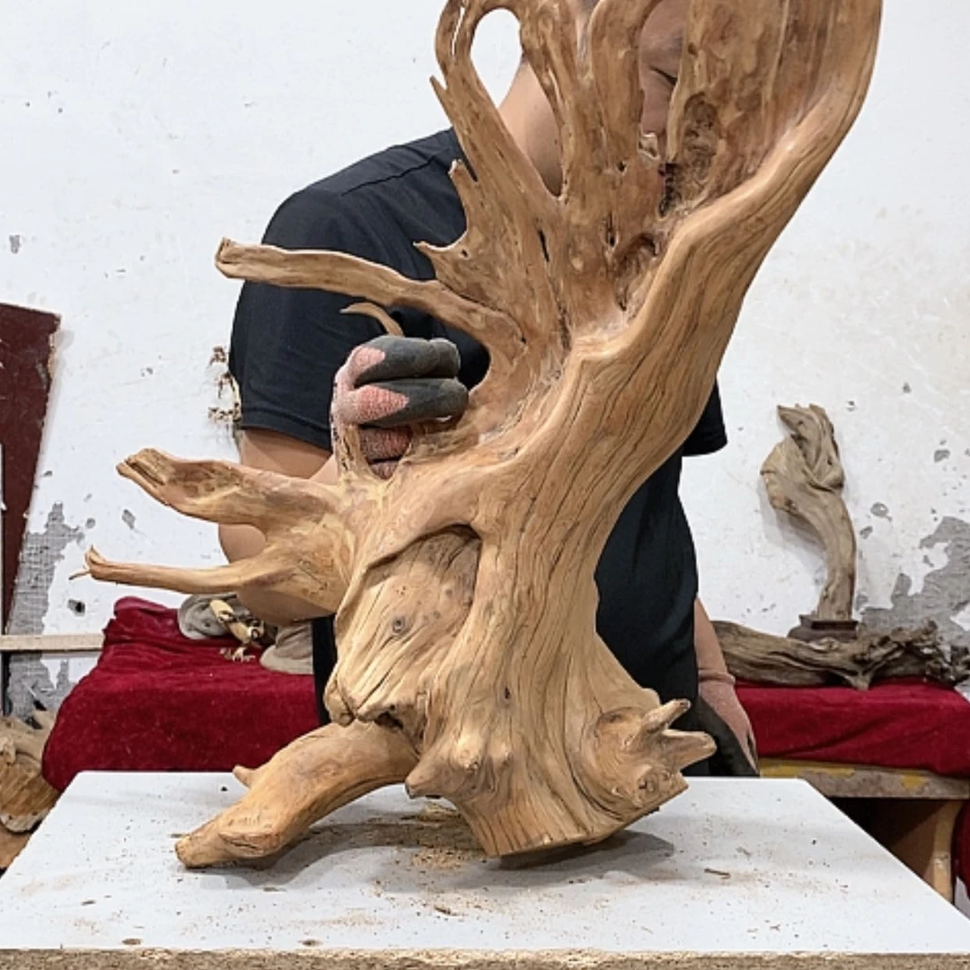 【闪购商品】柏木唐**哥我们都是好孩子