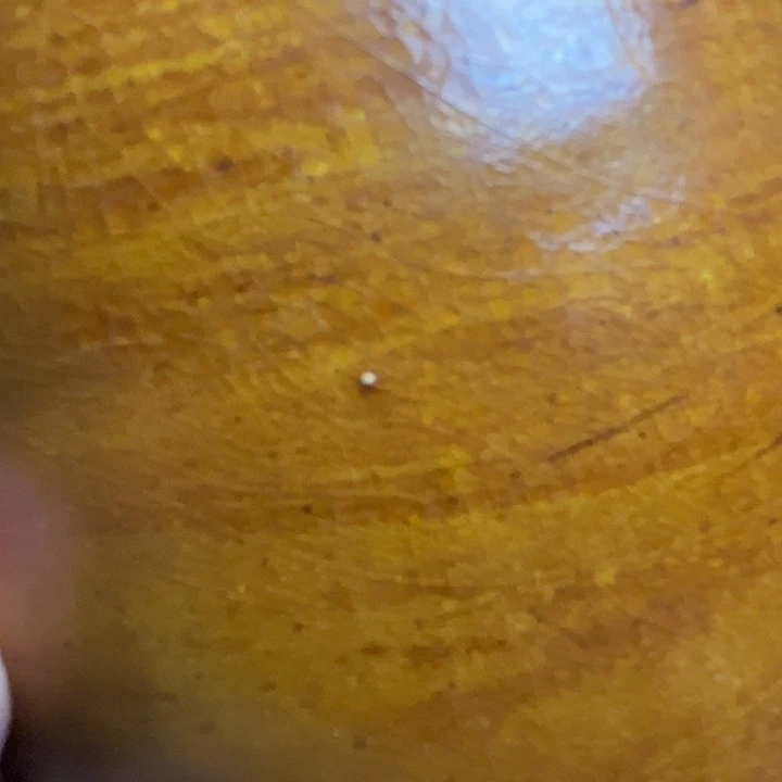 过***名瓷片瓷器111111111111111