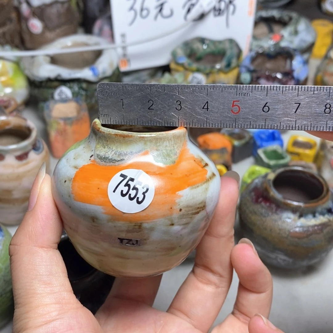 拍5送一个小礼物