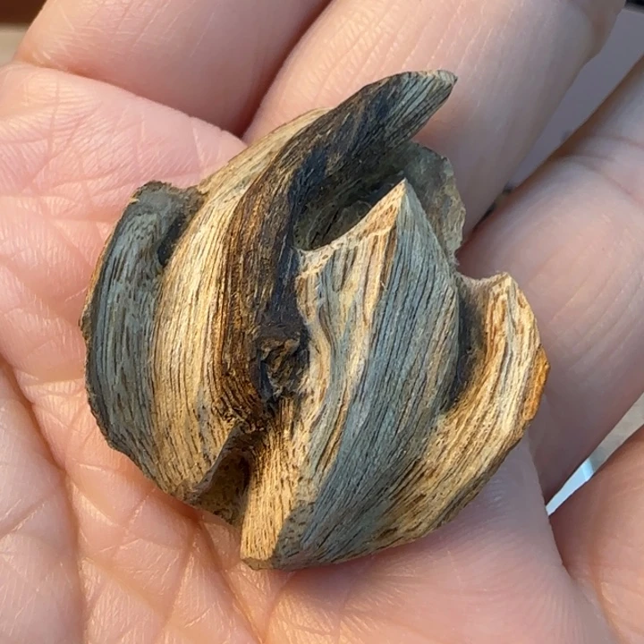 摆件沉香惠东虎斑1.65克