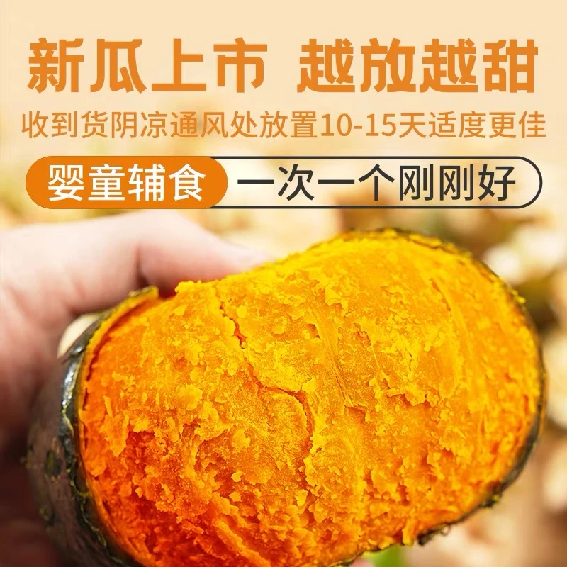 山东正宗贝贝南瓜粉糯香甜板栗味现摘现发迷你小南瓜