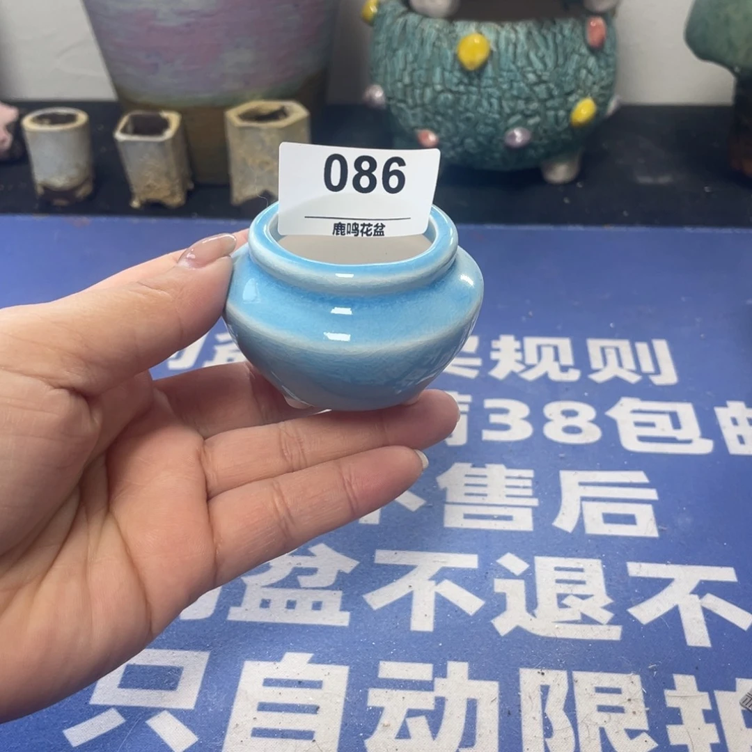 微瑕陶艺多肉花盆86