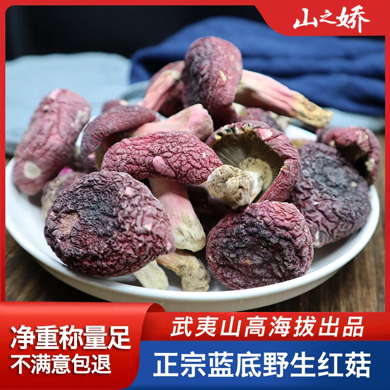 山之娇福建正品红菇野生菌正宗新鲜干货煲汤武夷山特产蓝底月子菇