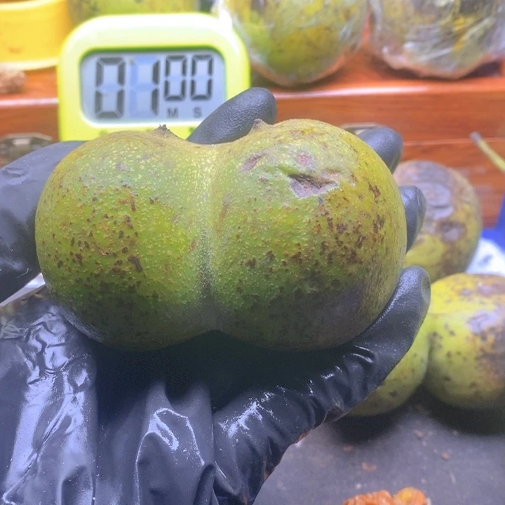 极***幼文玩核桃吊坠85尺白狮子半壁一个