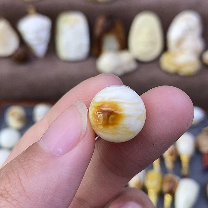 琥珀裸石未镶嵌13.9虎皮z24