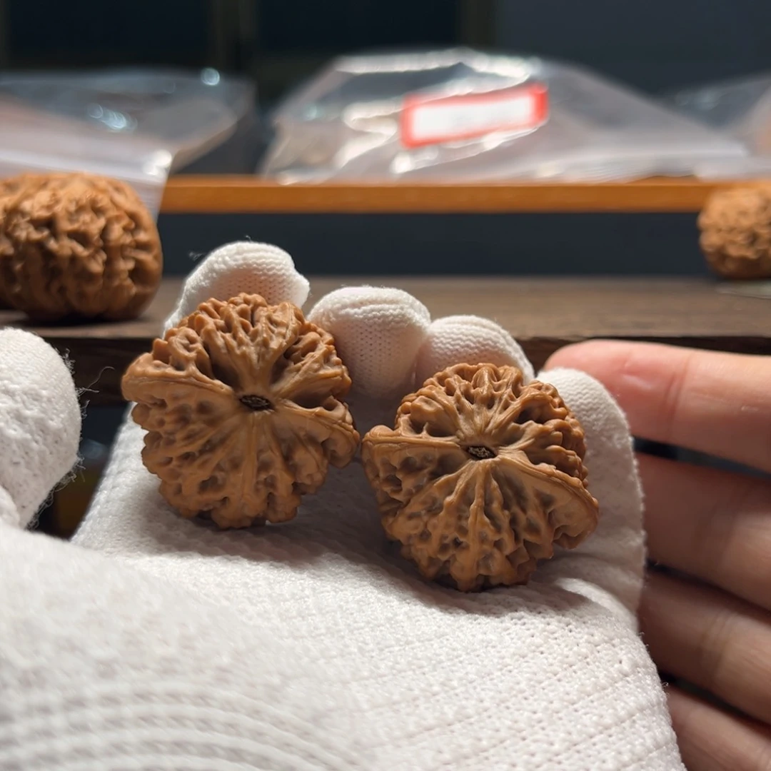 35太行山秦闷狮子