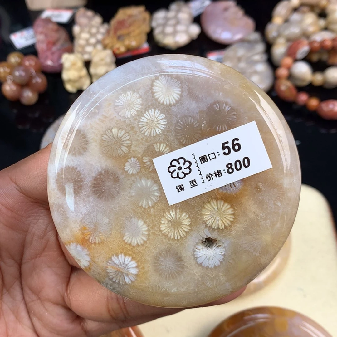 【闪购商品】颈饰未镶嵌硅化珊瑚（珊瑚玉）48号镯饼可做58圈以内