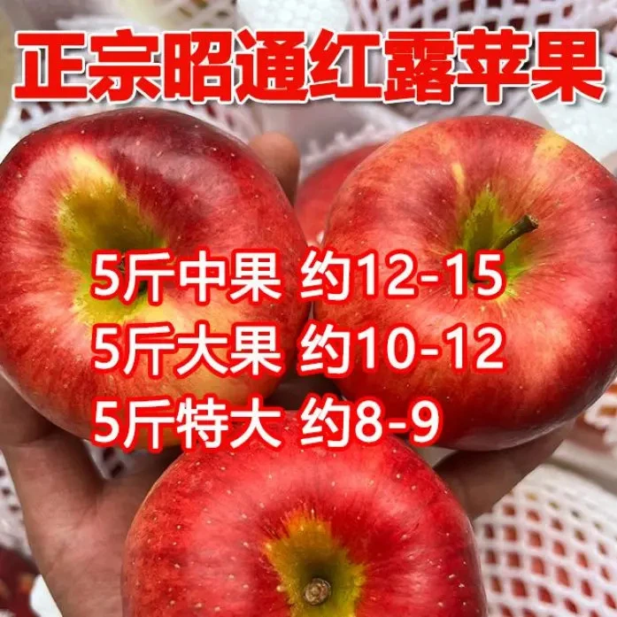 云南昭通红露苹果新鲜现摘冰糖心脆甜水果产地直发