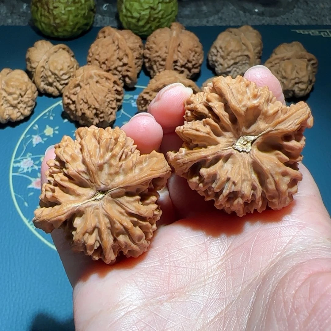 文玩核桃吊坠原桩满天星