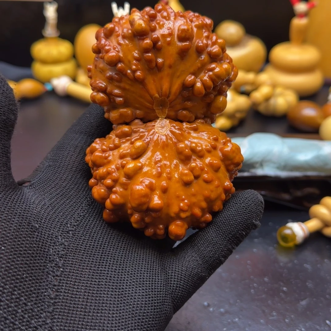 江*翰哈哈哈哈哈哈哈哈哈哈哈哈哈哈