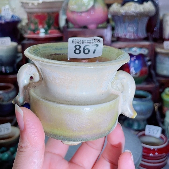 狼盆内口径6高度6