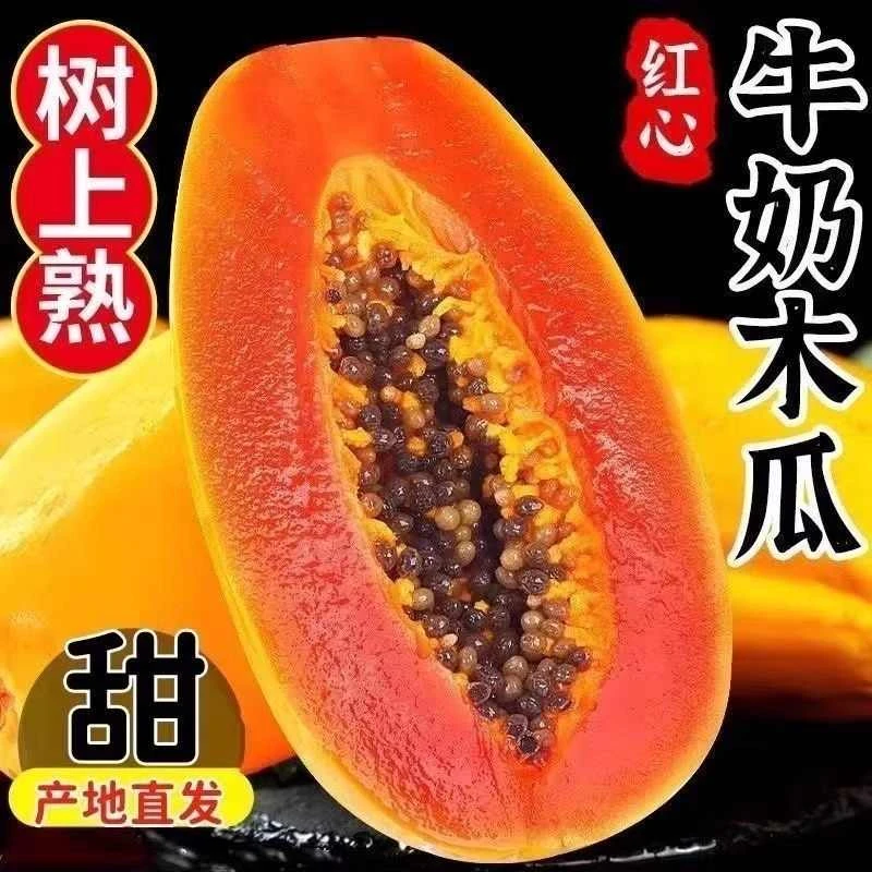 【雷州半岛】树上熟红心牛奶木瓜细腻冰糖软糯香甜新鲜当季孕妇水果