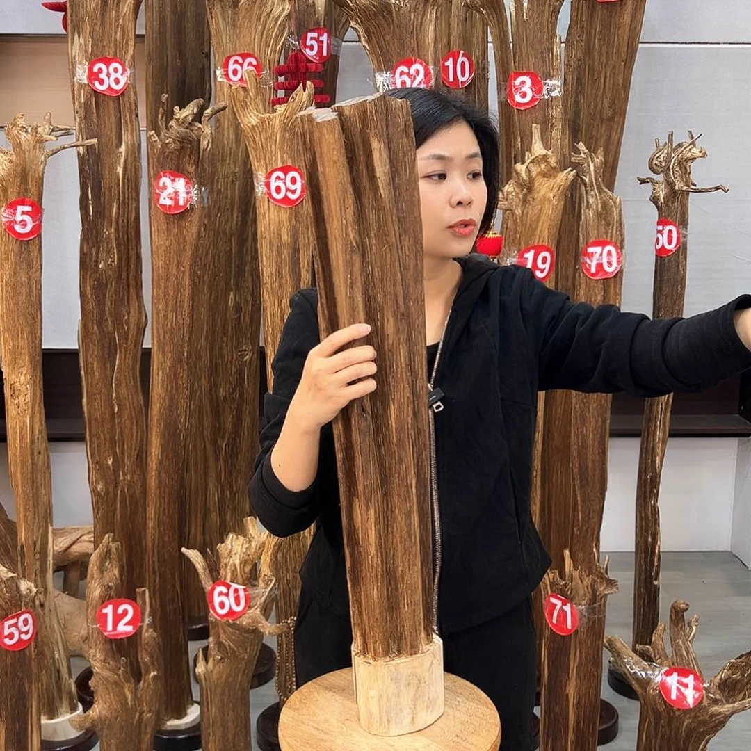 沉香摆件海南沉香摆件