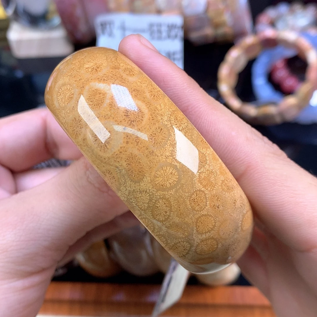 【闪购商品】颈饰未镶嵌硅化珊瑚（珊瑚玉）45号58.5圈金皮花