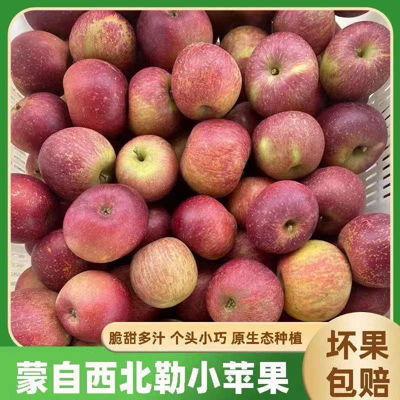 云南蒙自西北勒糖心苹果！新鲜现摘，蜜甜爆汁，果香浓郁抢鲜尝～