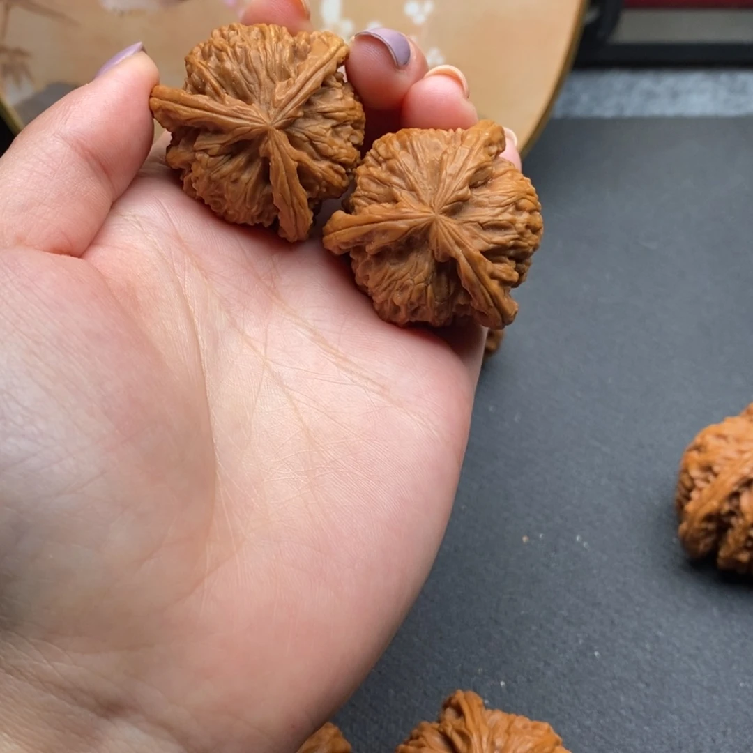 卫**东白狮子11111111111