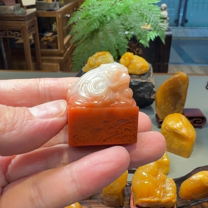 大***爷印石寿山石老挝水洞龙鱼钮