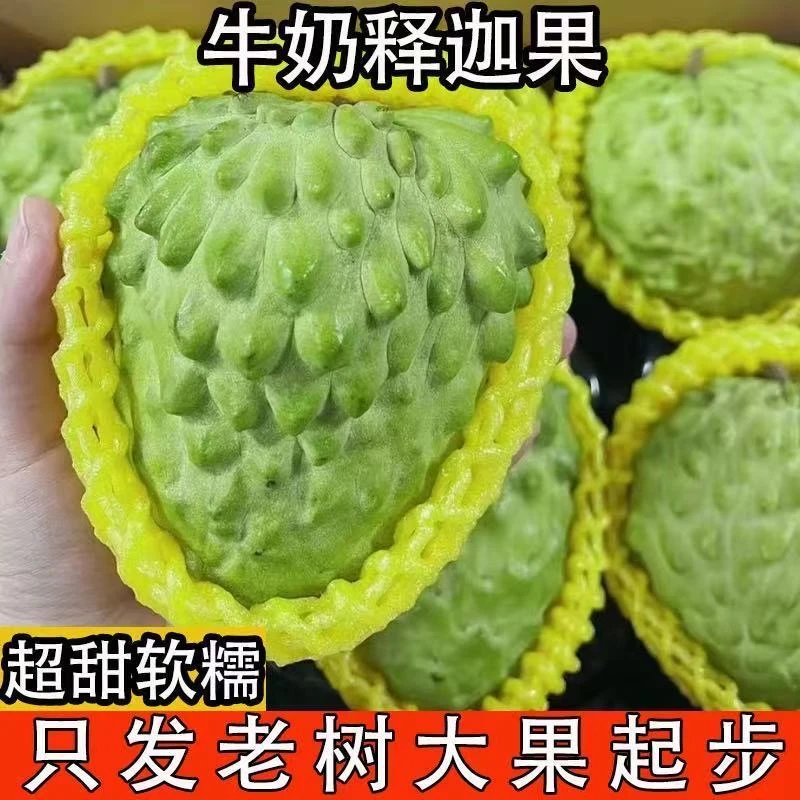牛奶凤梨释迦果林檎释迦果现摘水果牛奶番荔枝凤梨农家释迦佛头果