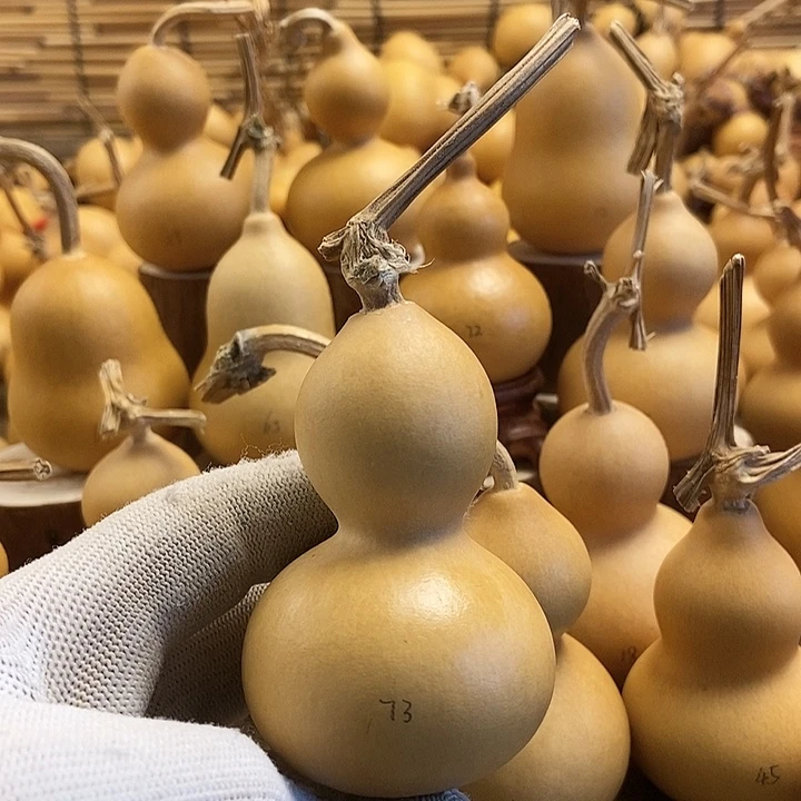 文玩葫芦 完美主义者 慎拍73