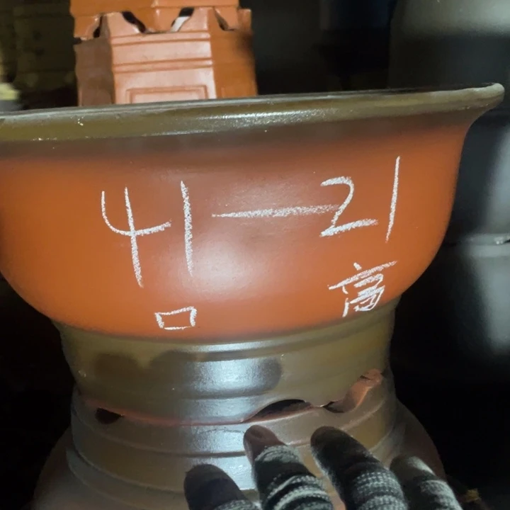 周三周四在做啥子陕西省