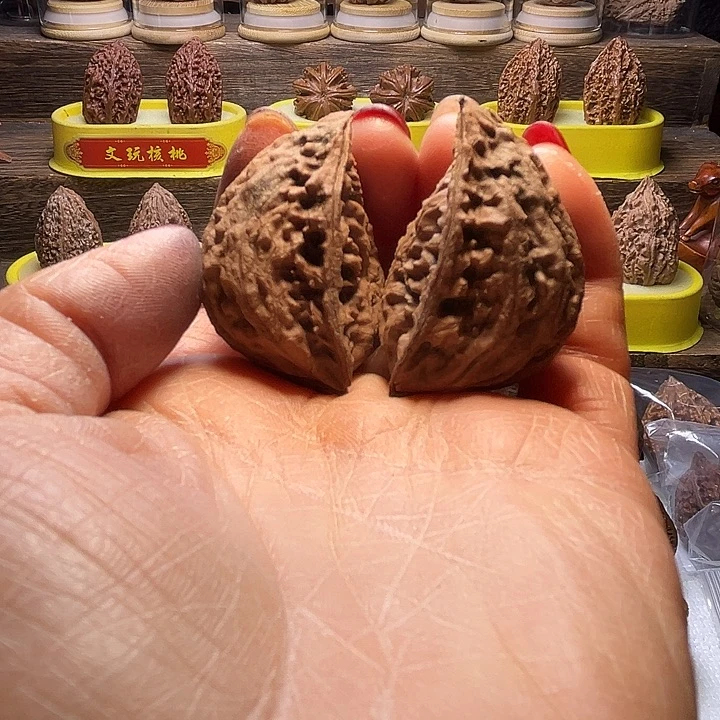 核桃25号车放漏漏漏