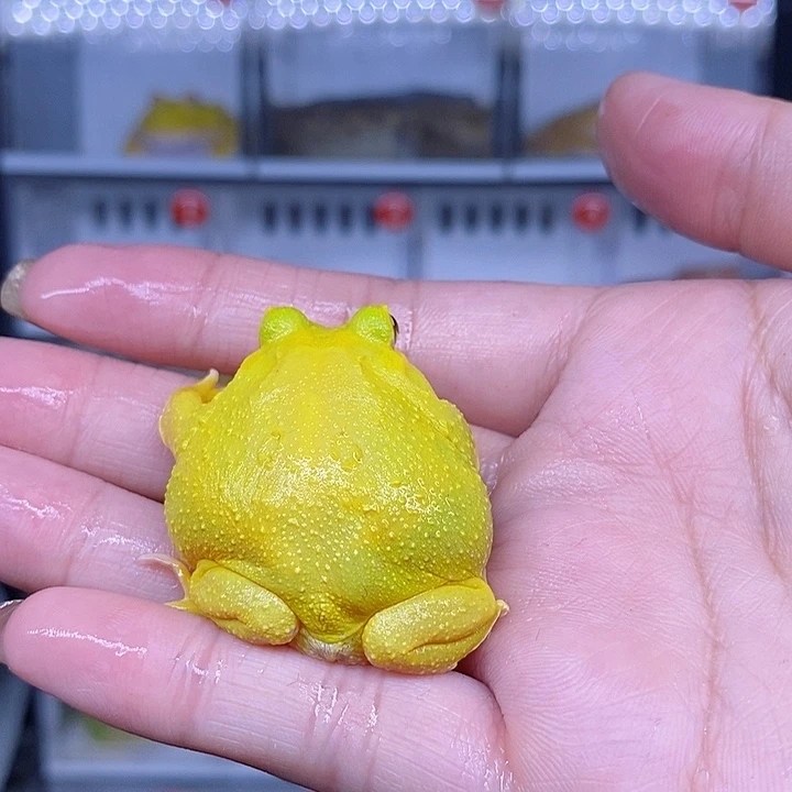 特价秒杀现货特价残