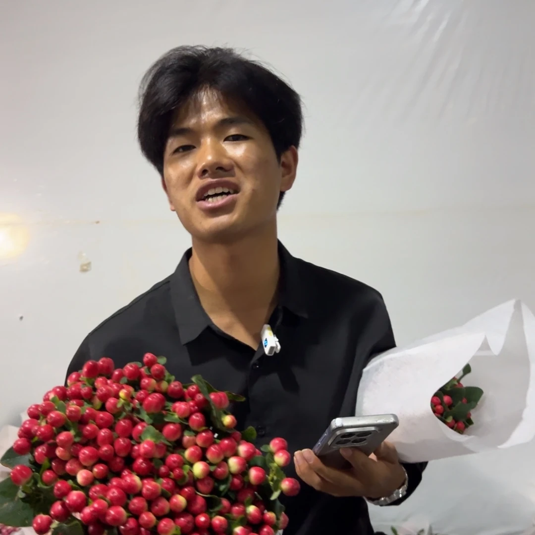 红豆2扎包邮件秒杀