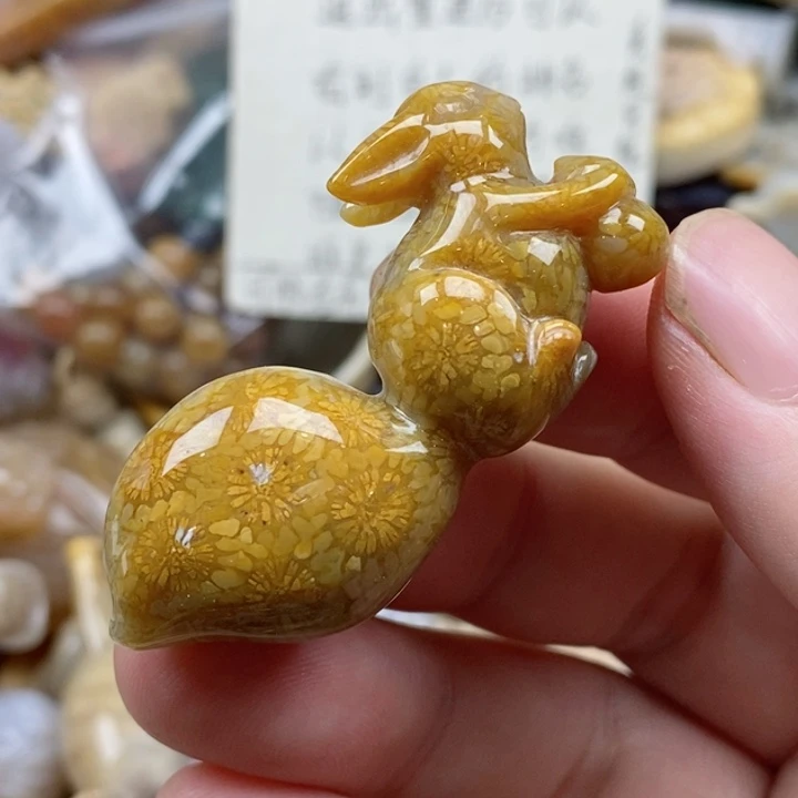 硅化珊瑚（珊瑚玉）未镶嵌颈饰