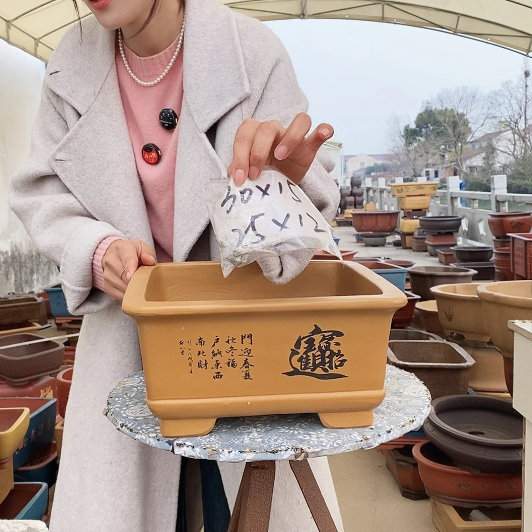 紫砂花盆紫砂花盆