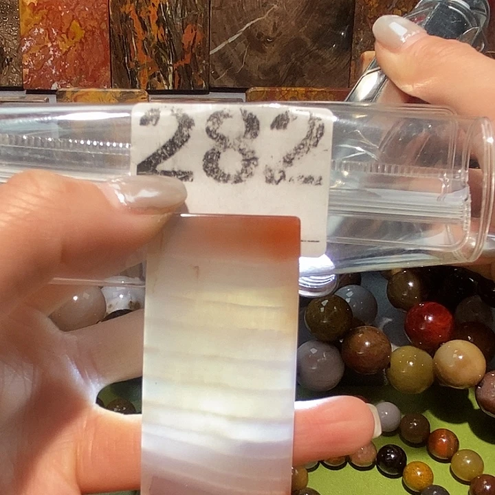 硅化玉未镶嵌天然北票树化玉吊坠