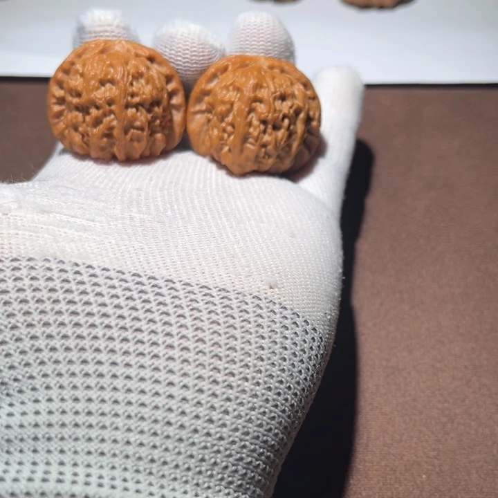 H***P精品白狮子小球白