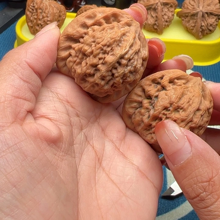 核桃文玩核桃金公子