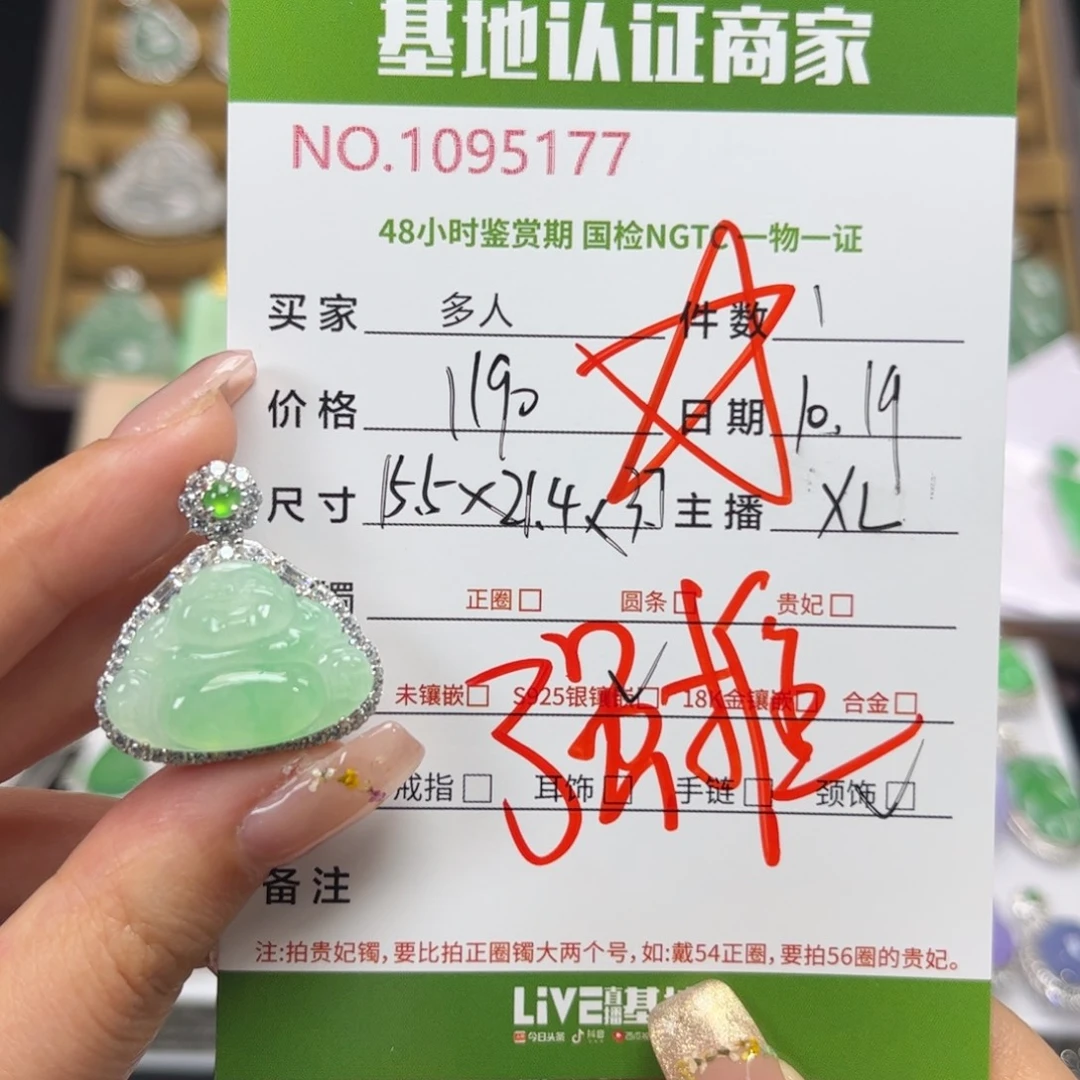 翡翠银S925镶嵌颈饰多人